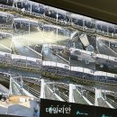 밀키웨이목장 이미지