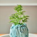 온다디저트