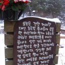 허브목장 이미지