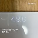 15 | 15일 단식 후기 (-6.6kg)