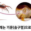 상아지네 이미지