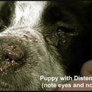 마마동물병원 이미지