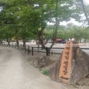 삼척엘림캠핑장 강원도 삼척계곡 사이트넓은가족캠핑장
