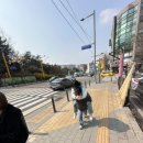 파이팅 당구장 이미지