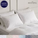 (주)에이스텍스 이미지