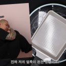 콸콸이 새 영상 ㅈㄴ 무섭고 웃기잔아 이미지