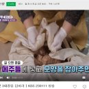 정골참맛된장