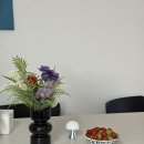 쉽고 빠르게 직장인을 위한 우리집 정리수납 꿀팁 | 권고사직 후기｜회사 매각 후 퇴사… 요즘 직장인 현실 체감