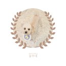 서현애견미용실 이미지