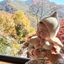 어서;이곳 | 밀양 카페 아기랑 어서 이곳 가을 단풍과 계곡 맛있는 커피와 디저트