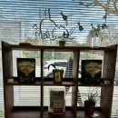 윔스(WIMS) 이미지