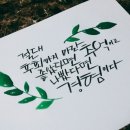 수채캘리그라피 이미지