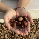 상화계리 가스충전소 아래 간이화장실 | [경기도 양평군] 스테이호은: 감성 풀빌라 1박 2일 숙박후기(수영장, 자쿠지, 바베큐)