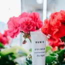 부리스(BURIS)