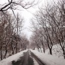 농협중앙탑 이미지