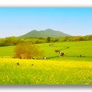 수채화를그리다