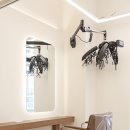 아라헤어 이미지