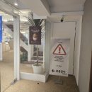 봄을담아 | [춘천] 춘천명동카페 '봄을담아' 방문후기