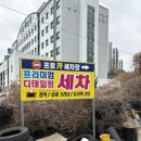 프로카모터스 이미지