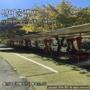 산여울 | [경기도/가평] 대성리 회사 야유회 하기 좋은 산여울캠프 후기
