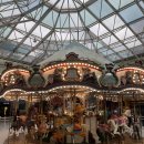 플렉스몰 이미지