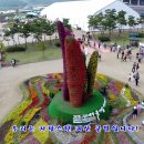 괴강관광지 축구장 이미지