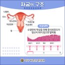 미사바른선한의원 이미지
