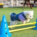 모나코펜션 이미지