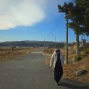 손양면사무소 | 양양 여행 상운메밀촌 | 풍자 또간집 나온 맛집, 메밀 육개장 칼국수 웨이팅 솔직 리뷰