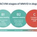 벡스코 동물병원 이미지