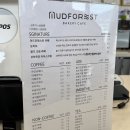 포레스트오션 | 선재도 카페 머드포레스트 오션뷰 후기