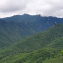 자작바위 이미지