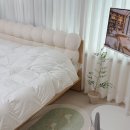 플루피 | 겨울이불 브랜드 포렌 후기 에코플루피 먼지없는이불