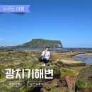 고성신양어촌계(백기해녀의집) | 광치기해변 간조 물때표 주차