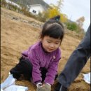 가루매마을 이미지