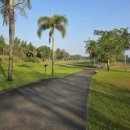 그린우드 | [태국]2월 시라차 그린우드 골프장 실제 후기 (날씨·볼트·캐디팁 총정리)내돈내산 태국골프 자유여행