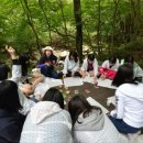 산림청 국립자연휴양림관리소 이미지