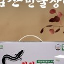 힘찬 민물 장어 이미지