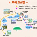 시오이시 | 일본 도쿄 후지산 투어 여름 후기 센겐 오이시 공원 녹차밭