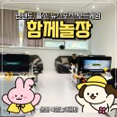 놀장 | 순천대관 가능한 복합놀이공간 함께놀장 아이랑 다녀온 후기