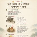 정과 혜의 균등(광륜사 보원스님) 이미지