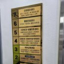 이 시림 때문에 다녀온 일산 주엽 사과나무치과 첫방문 후기😳😳