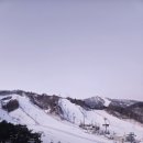 평창 휘닉스파크 이미지