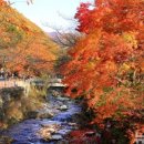 통일로1267번길 이미지