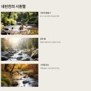 내린천솔밭힐링캠핑장 | 🏕️인제 내린천솔밭힐링캠핑장, 자연 그대로의 쉼터!