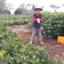 디모데농장 이미지