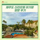 제주도 신라호텔 아기랑 방문 후기(룸, 모닝 요가, 동물 먹이주기 프로그램, 추천 산책코스)