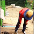 밥 퍼주는 남자 이미지