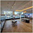 창원강아지분양 고양이분양 도그마루 이미지