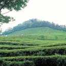 웰빙시대 - 중구 | 웰빙시대